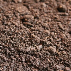 Classic Compost