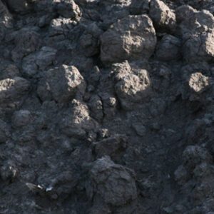 Regular Black Dirt