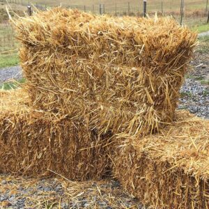 Straw Bale